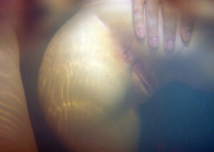 Lesbo teen with nice hairstyle dildoes redhead's pussy in air pool